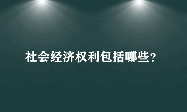 社会经济权利包括哪些？