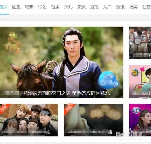 安装 Adobe Flash Player For Chrome