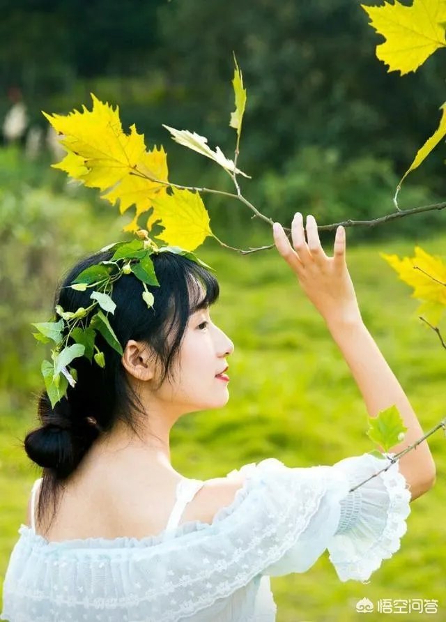 春花秋月何时了下一句是什么？