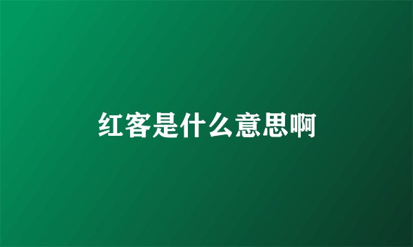红客是什么意思啊