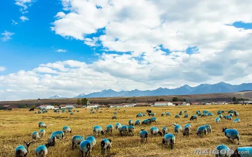 青海旅游景点大全 青海旅游地图 青海景点大盘点【青海旅游】