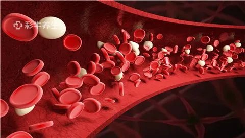 门静脉内径多少正常