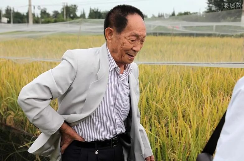 袁隆平主要事迹及贡献 他为中国做了什么贡献？