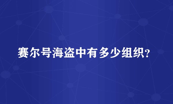 赛尔号海盗中有多少组织？