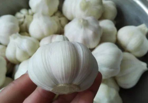 怎么做好吃 糖蒜最正宗的做法