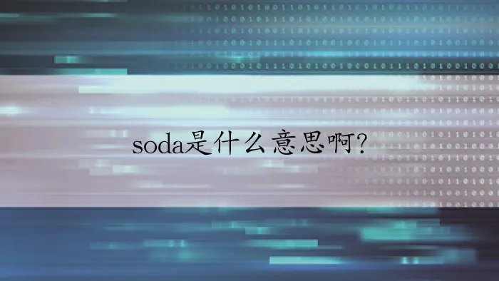 soda是什么意思啊？
