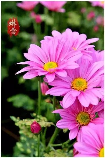 怎样才能学习好？