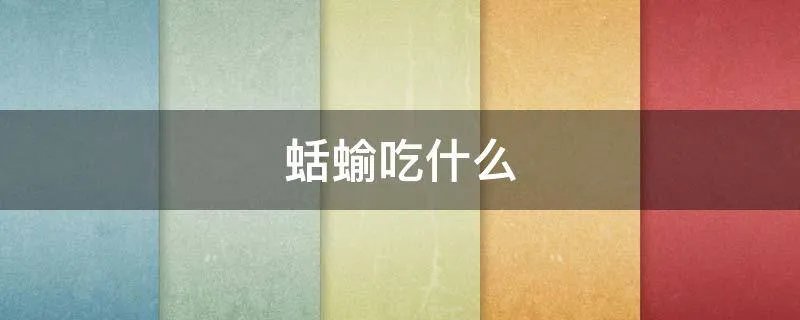 蛞蝓吃什么