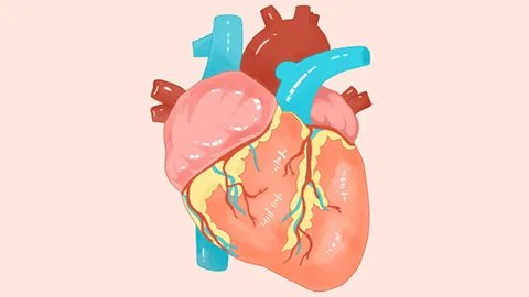 心脏出血是怎么引起的