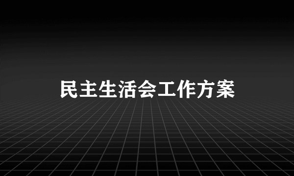 民主生活会工作方案