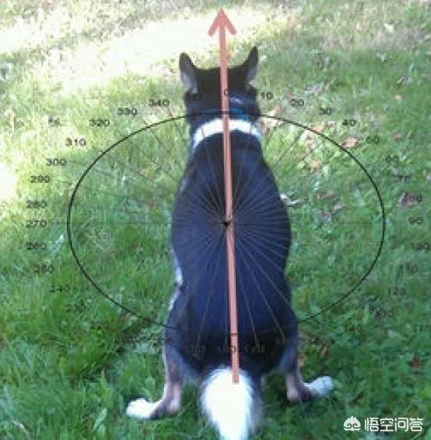 人类第六感首次被证实,你怎么看?