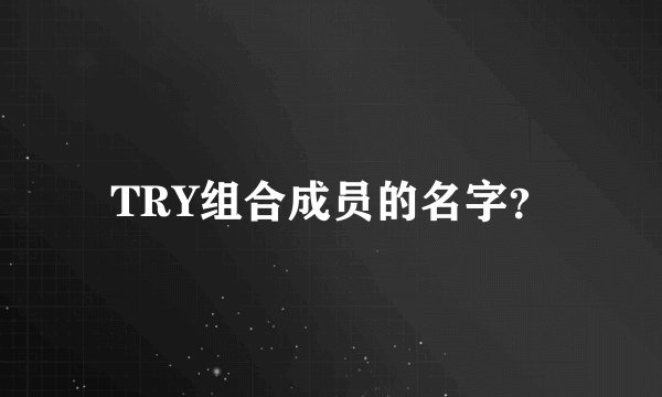 TRY组合成员的名字？