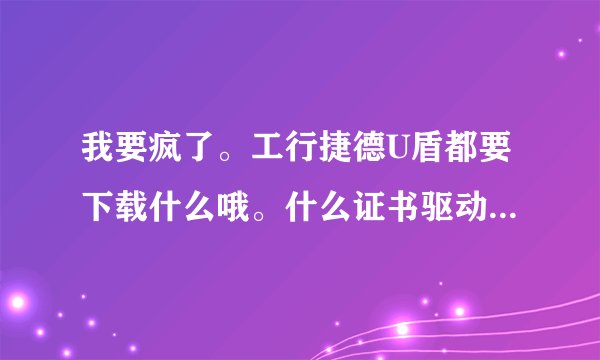 我要疯了。工行捷德U盾都要下载什么哦。什么证书驱动。U盾驱动。还有什么。