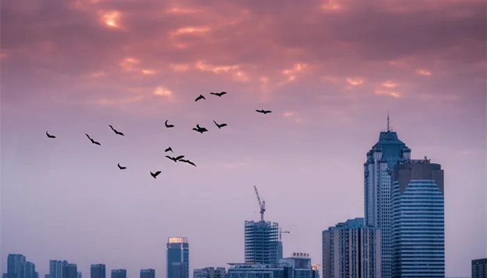 楼梯的设计要求有哪些 楼梯设计规范要求