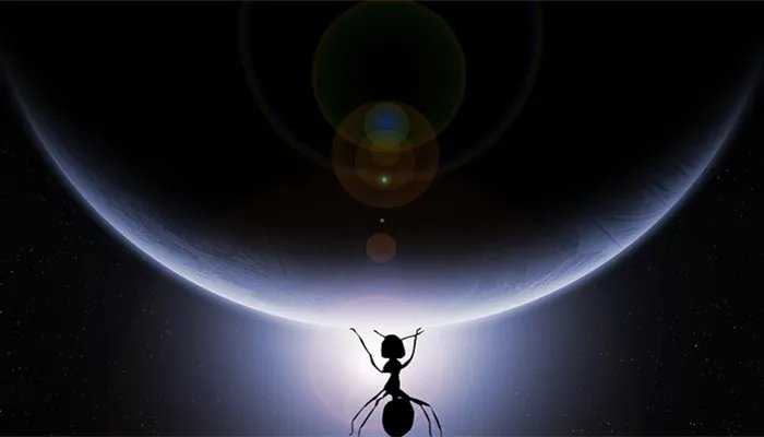 月球的两极是冰天雪地吗 月球的两极是不是冰天雪地