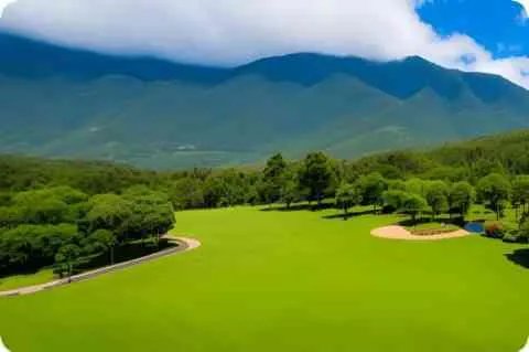 纯水的介电常数是多少?