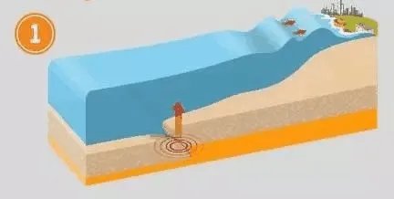 智利海啸曾改变地球形状,那海啸的威力到底有多大?