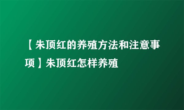 【朱顶红的养殖方法和注意事项】朱顶红怎样养殖