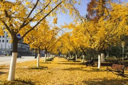 2019年立秋是哪一天？立秋是什么意思呢？