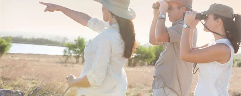 5月19日是什么节日 5月19日是什么节日日子