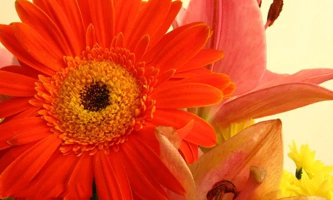 告别2019迎接2020抖音句子精选80句