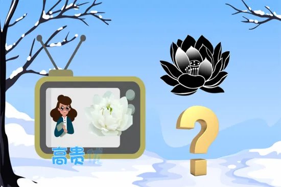 黑莲花是什么意思