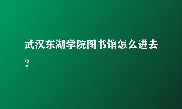 武汉东湖学院图书馆怎么进去？