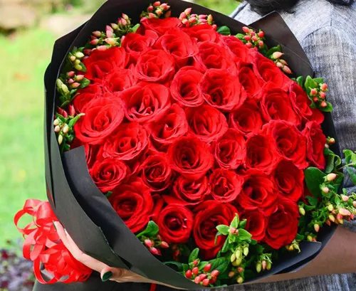 十一朵玫瑰花的花语是什么意思 表白送什么花多少朵