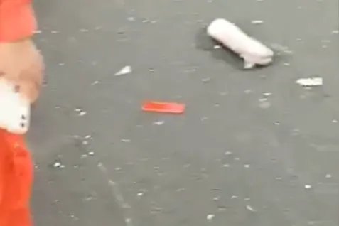 市委就抢猪肉致歉