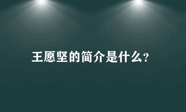 王愿坚的简介是什么？