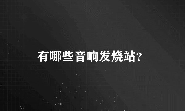 有哪些音响发烧站？
