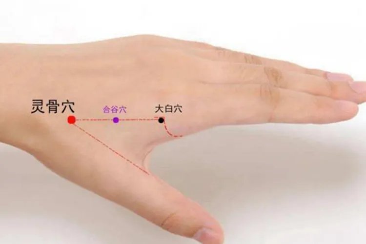 灵骨大白与合谷的准确位置图