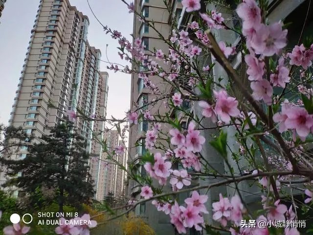 你眼里的春天是什么样子的?