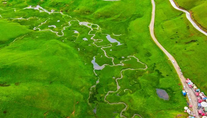 2022清明节放假安排时间表最新 2022清明节放假调休怎样安排