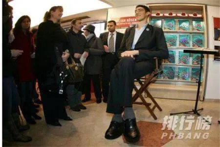 世界上最高的人是谁_世界上最高的人排行榜