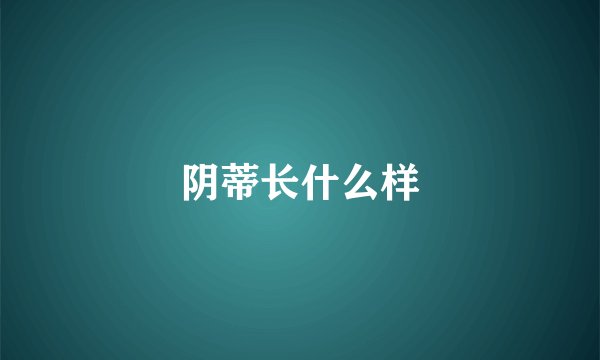 阴蒂长什么样