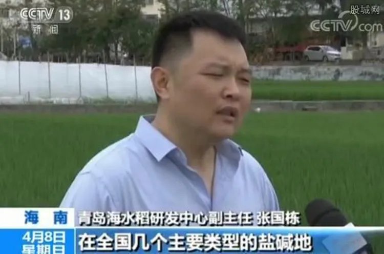 我国大范围试种海水稻 什么叫海水稻？