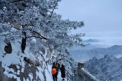 河南多景区飘起鹅毛大雪，现场究竟是何景象？