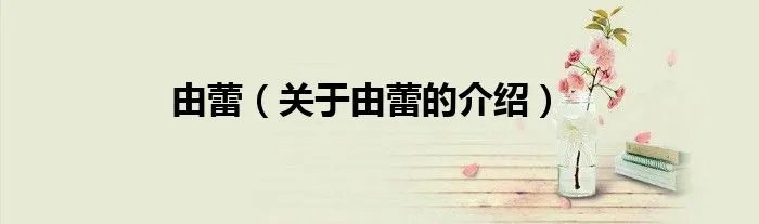 由蕾（关于由蕾的介绍）