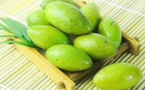 读眷恋青橄榄有感