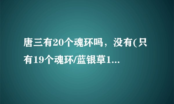 唐三有20个魂环吗，没有(只有19个魂环/蓝银草10个昊天锤9个)—飞外