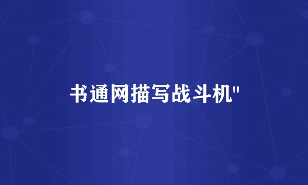 书通网描写战斗机