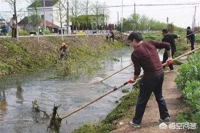 央视网评娱乐歪风
