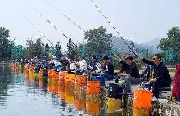 武汉一鱼场上百人清晨百米冲刺抢钓鱼位,这种场景像什么?