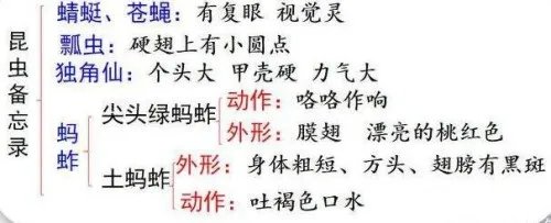 昆虫备忘录怎么写