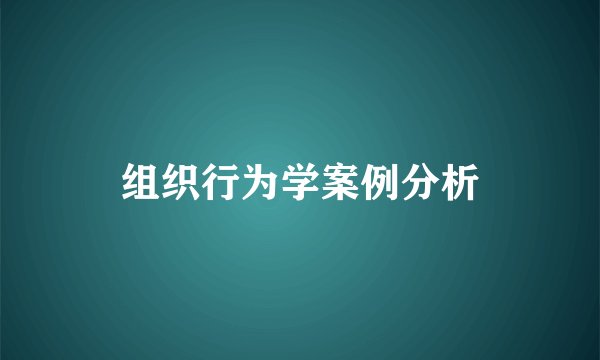 组织行为学案例分析