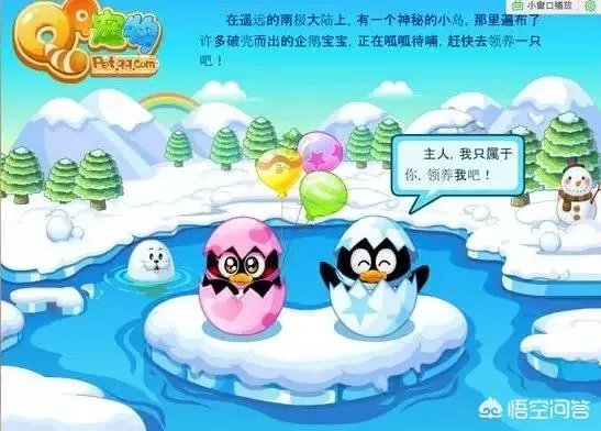 qq宠物论坛
