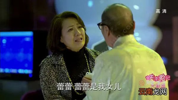 前夫求爱记的演员 前夫求爱记剧情介绍