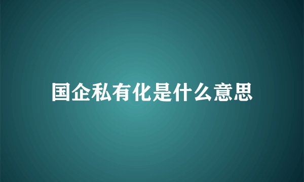 国企私有化是什么意思