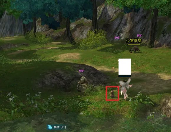 剑网3怀旧服奇遇宠物小果获得方法